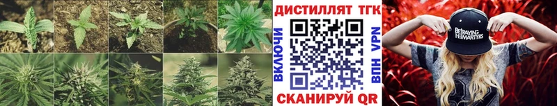 Купить  Чита  ТГК гашишное масло 